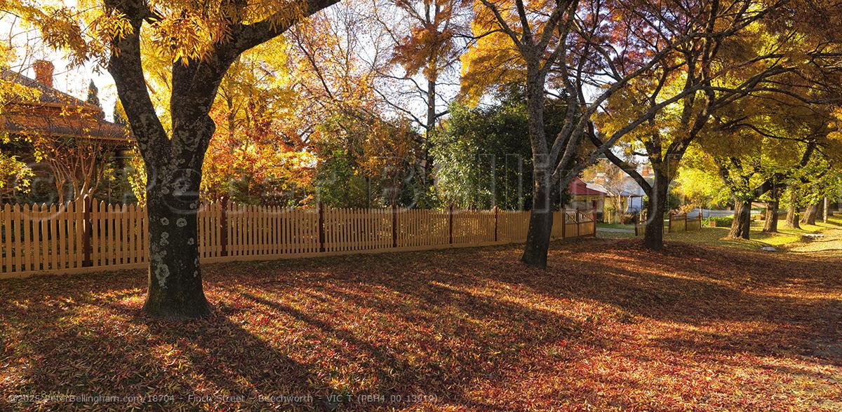 Peter Bellingham Photography Finch Street - Beechworth - VIC T (PBH4 00 13919)
